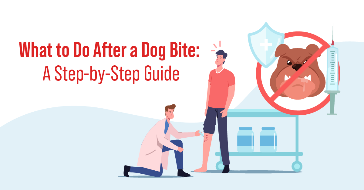 what to do after a dog bite