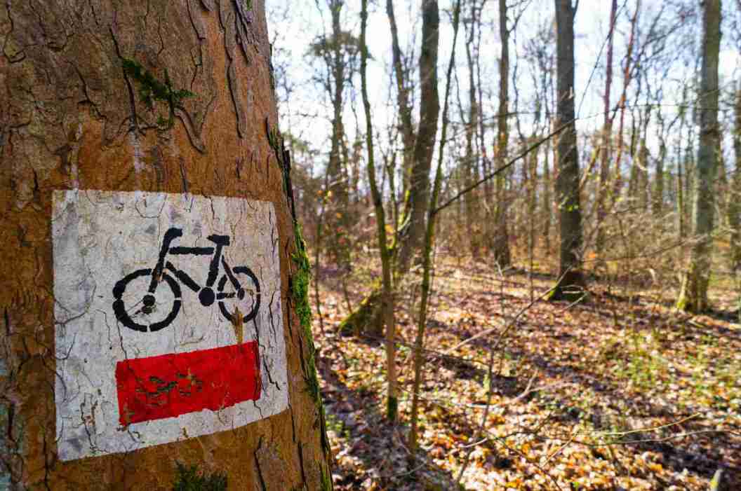 bike sign in the forest