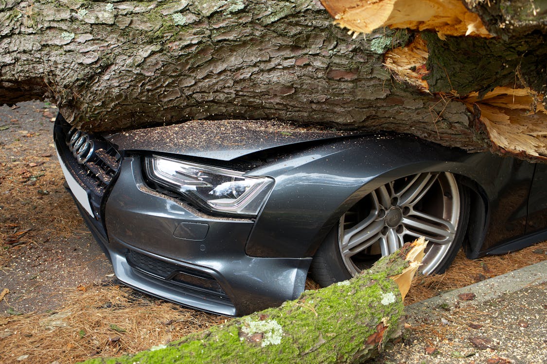 car hit by a tree log