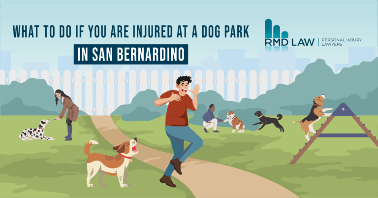 What to Do If You Are Injured at a Dog Park in San Bernardino