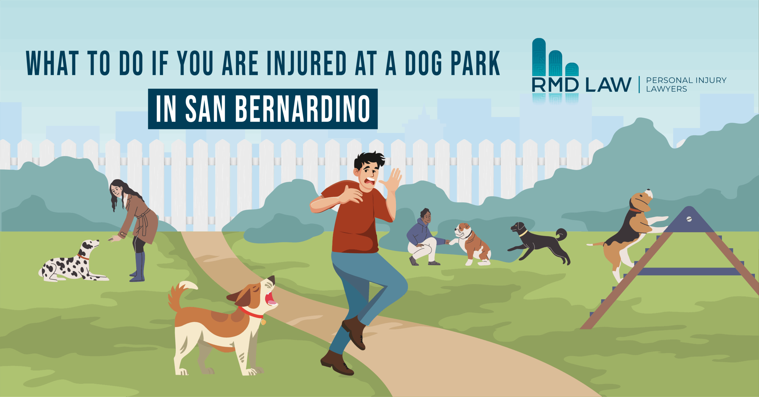 What to Do If You Are Injured at a Dog Park in San Bernardino