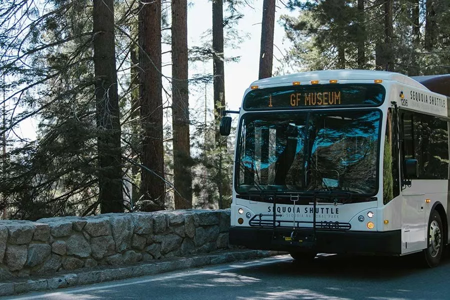 white bus on route
