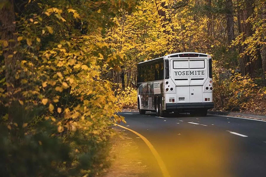 bus in the middle of the woods