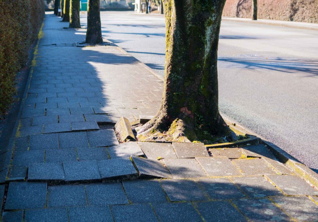 hazardous cracked sidewalk